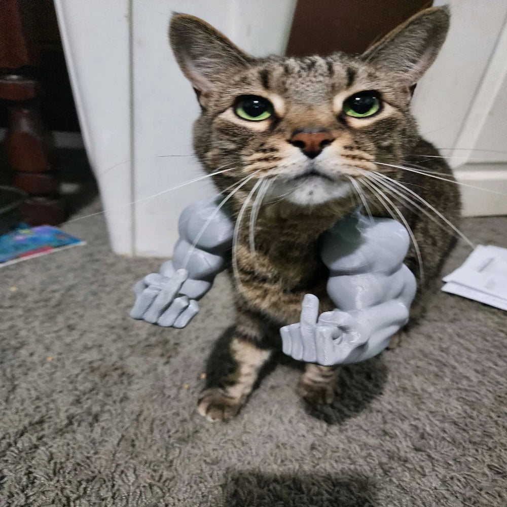 Meowfinger Cat Arms